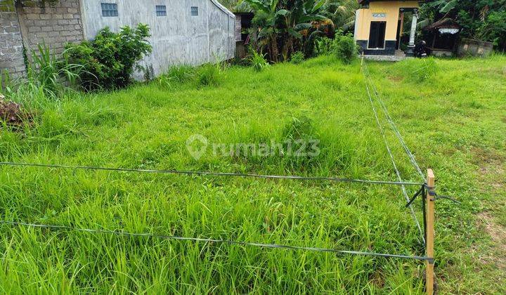 Tanah Jual Desa.kalikah Jembrana.negare Siap Bangun 215m 1