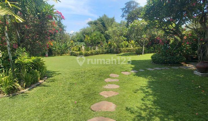 Rumah Villa  With Big Garden And Pool Near Sanur Beach 2