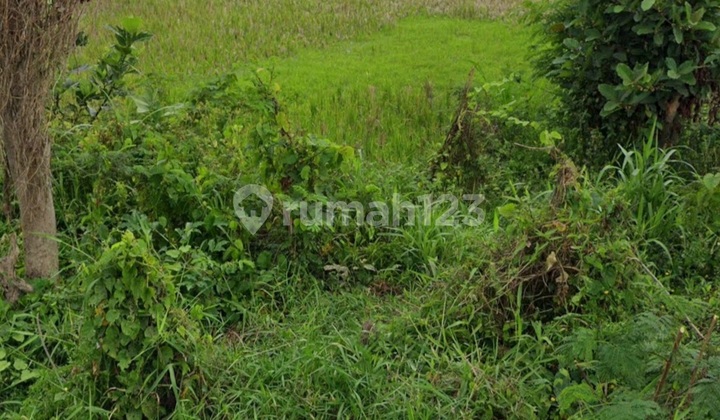 Land at Jl. Raya Pantai Siyut, Tulikup, Gianyar SHM Beach Walking Distance