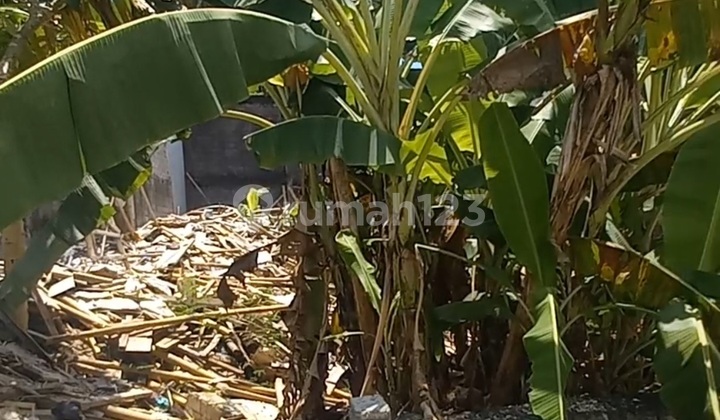 Land for Rent 2 acres in Jimbaran, near Udayana University McDonald's and the beach. Land for Rent 2 acres in Jimbaran, near Udayana University McDonald's and the beach.