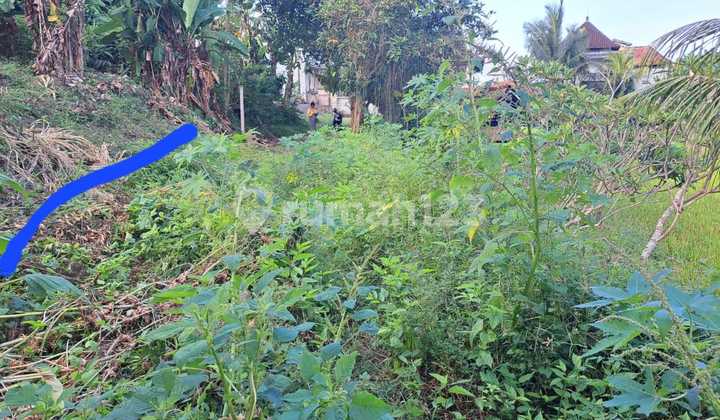 Tanah Plot.kecil Dekat.pantai Lebih Dan Resort Most Blue Gianyar