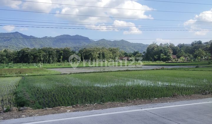 Di Jual Tanah Mainroad Bayat Cawas Klaten Di Jual Tanah Mainroad Bayat Cawas Klaten