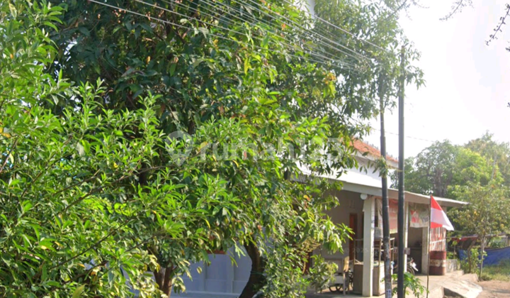 Land for Sale in Brebes, Central Java, Great Location at an Affordable Price