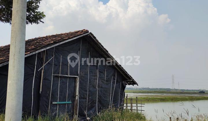 Tanah Tambak Jawar Benowo Cocok Untuk Usaha 