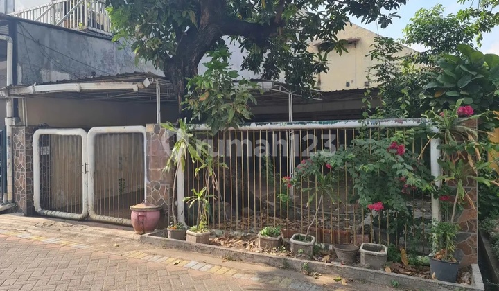 Murah Rumah Lama Terawat Kutisari Dekat Tenggilis, Siwalankerto 