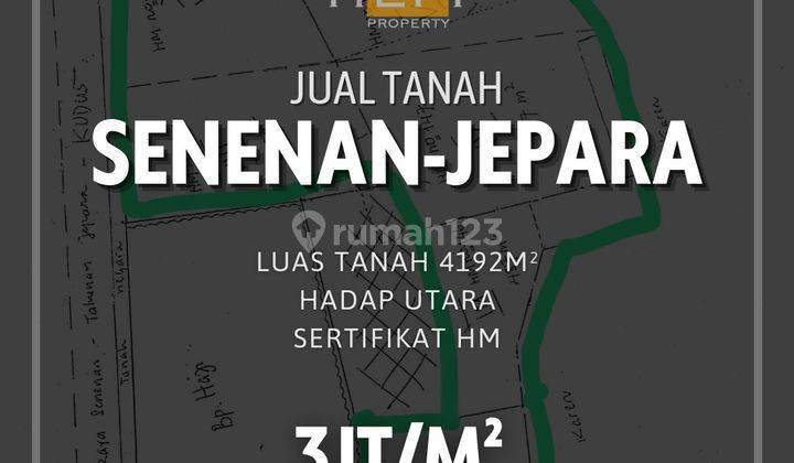 Tanah di Jalan Raya Senenan Jepara 1