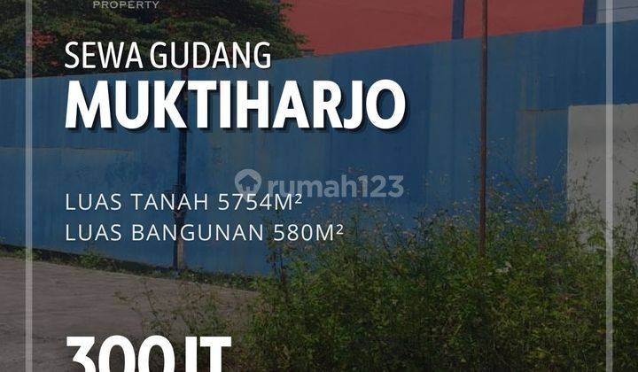 Gudang di Muktiharjo Semarang  1