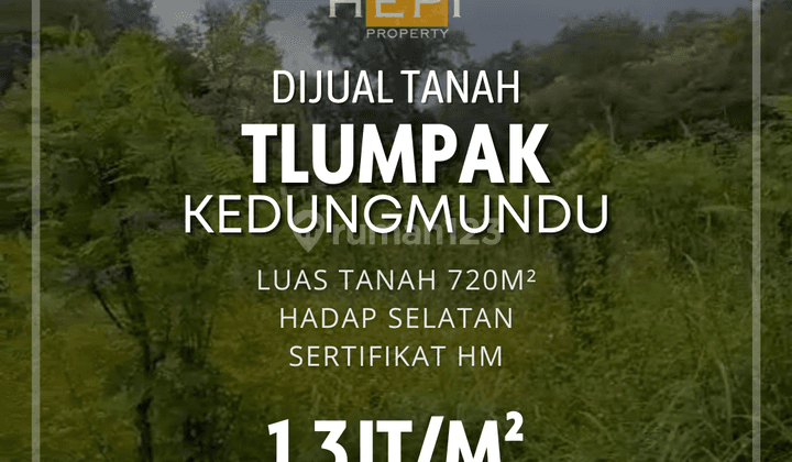 Tanah di Tlumpak Kedungmundu Tembalang Semarang 1