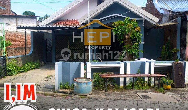Rumah Bebas Banjir Lokasi Di Tengah Kota Kalicari Pedurungan 1
