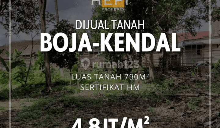 Tanah Luas Lokasi Strategis di Boja Kendal 1