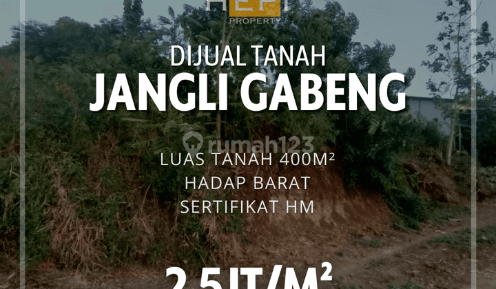 Tanah di Jangli Gabeng Tembalang Semarang 1