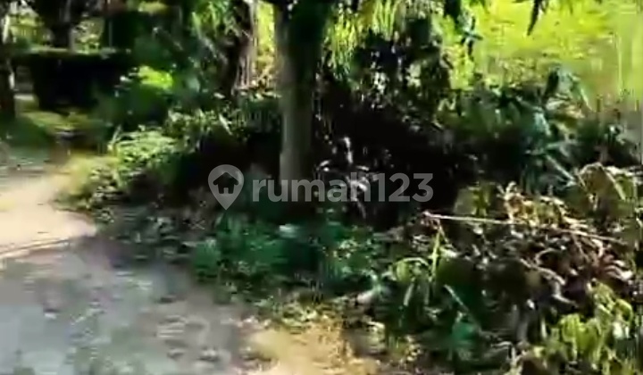 A Plot of Land for Sale in Curug Gunung Sindur, Bogor A Plot of Land for Sale in Curug Gunung Sindur, Bogor