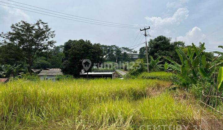 TANAH LUAS DAN STRATEGIS COCOK UNTUK USAHA DI CISALADA PURWAKARTA 2