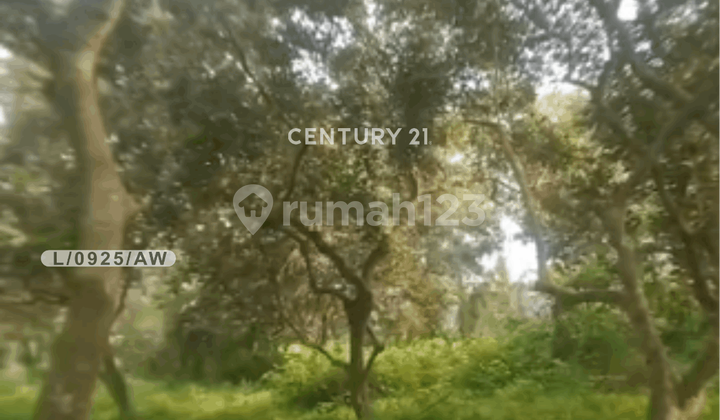 Tamah Luas Dan Strategis Lokasi Di Kecamatan Tirtamulya Karawang