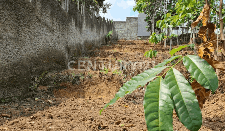 Tanah Untuk Cafe Villa Bandung Utara Dekat Lembang  2