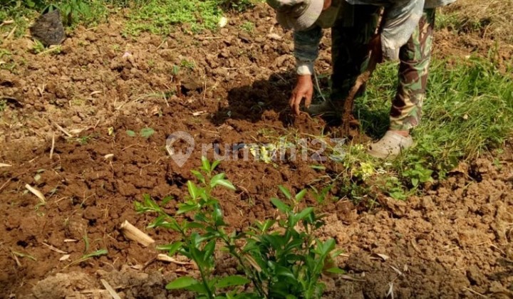 TANAH LUAS DAN STRATEGIS COCOK UNTUK BISNIS DI SUKABUMI