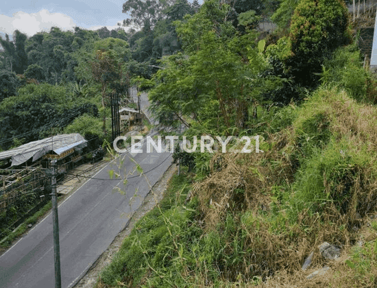 Tanah Untuk Cafe Villa Bandung Utara Dekat Lembang  2