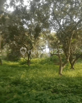 Tamah Luas Dan Strategis Lokasi Di Kecamatan Tirtamulya Karawang