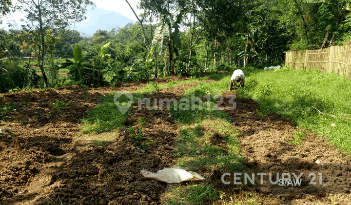 TANAH LUAS DAN STRATEGIS COCOK UNTUK BISNIS DI SUKABUMI