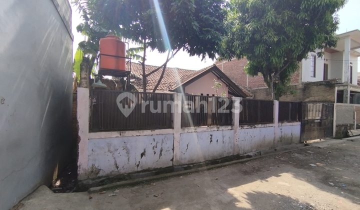 House with a Fairly Wide Yard on the TKI Wing House with a Fairly Wide Yard on the TKI Wing