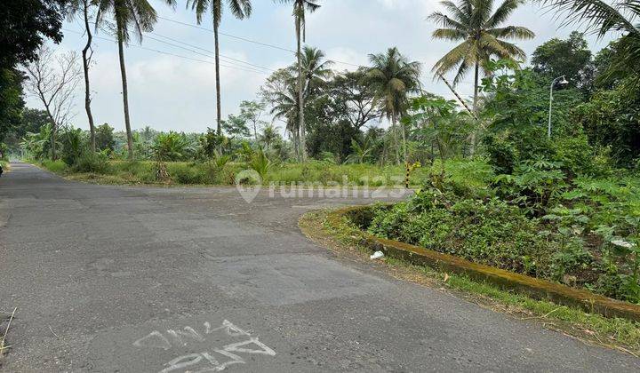 Tanah Prospek Bangun Kos, Belakang Kampus Uii Jogjakarta 1