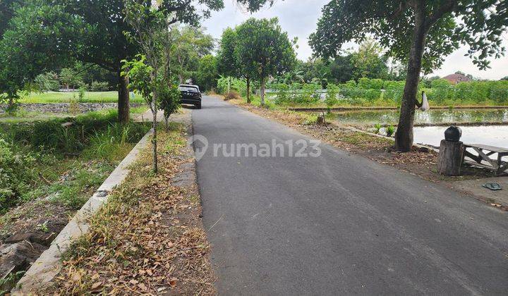 Tanah Murah dan Strategis Tengah Kota Jogjakarta, SHM P 2