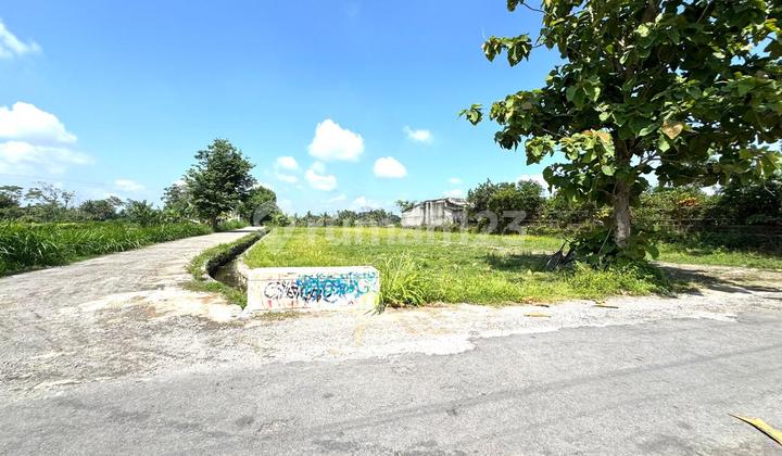 Villa/Homestay Area, Cheap Land Ready for Construction