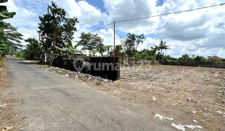 Jual Murah Kawasan Strategis, Utara Kampus Ugm Jogja Jual Murah Kawasan Strategis, Utara Kampus Ugm Jogja