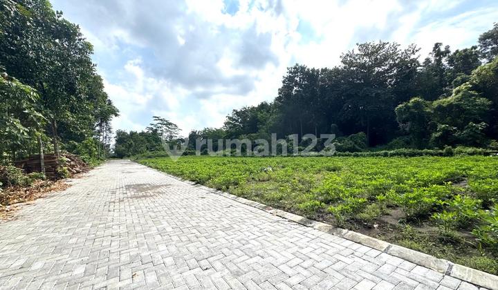 Land Behind UII Campus Jogja, Investment Prospects Land Behind UII Campus Jogja, Investment Prospects