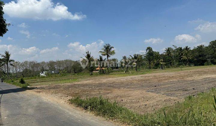 Tanah Siap Bangun, Lingkungan Asri Cocok Huni 2