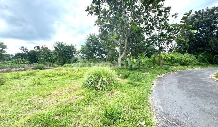 Jual Tanah Murah Jogja Utara, Cocok Bangun Villa/Homestay 2