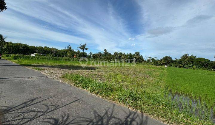 Tanah Murah Jogja, Legalitas SHM P View Sawah 2