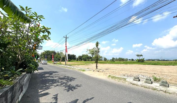Cocok Peruntukan Usaha Maupun Hunian, Tanah Murah Sleman