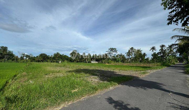 Tanah Pekarangan Murah Sleman Dekat Kopi Klothok 1