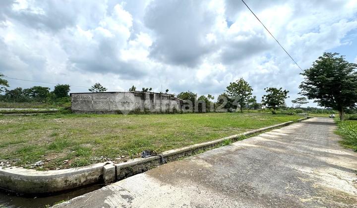 Prospek Bangun Homestay, SHM Ready Lingkungan Asri