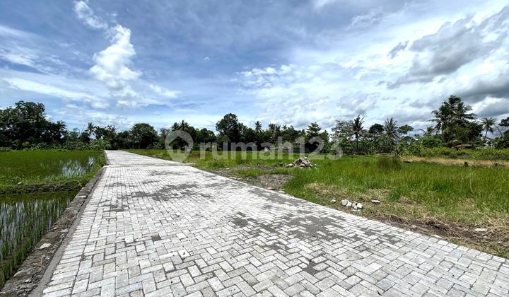 Jual Murah Tanah Belakang Kampus Uii Jogja, SHM Ready