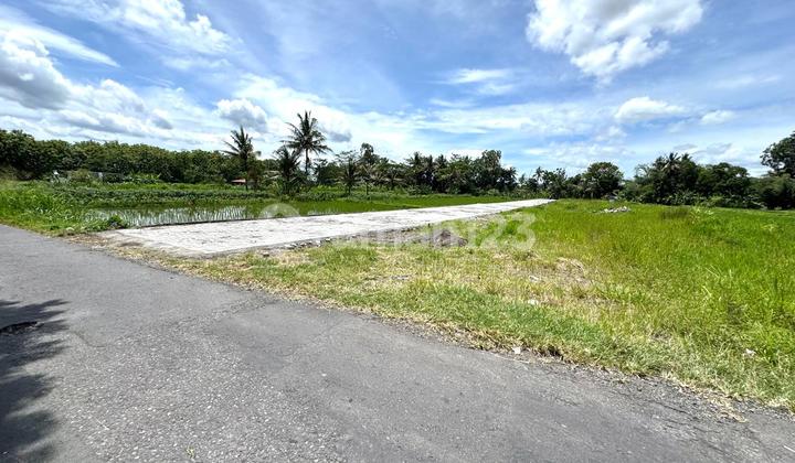 Jual Murah Tanah Dekat Jl Palagan/Jl Kaliurang, Shmp Jual Murah Tanah Dekat Jl Palagan/Jl Kaliurang, Shmp