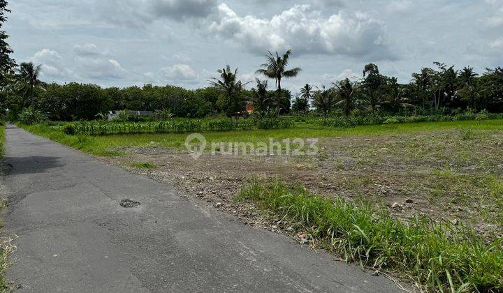 Tanah Murah SHM P Jogja Utara, Prospek Bangun Villa 2