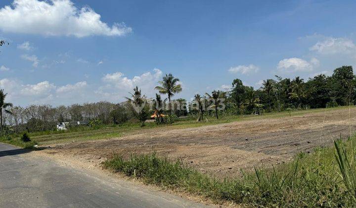 Prospek Investasi, Tanah Murah Belakang Kampus Uii Jogja 2