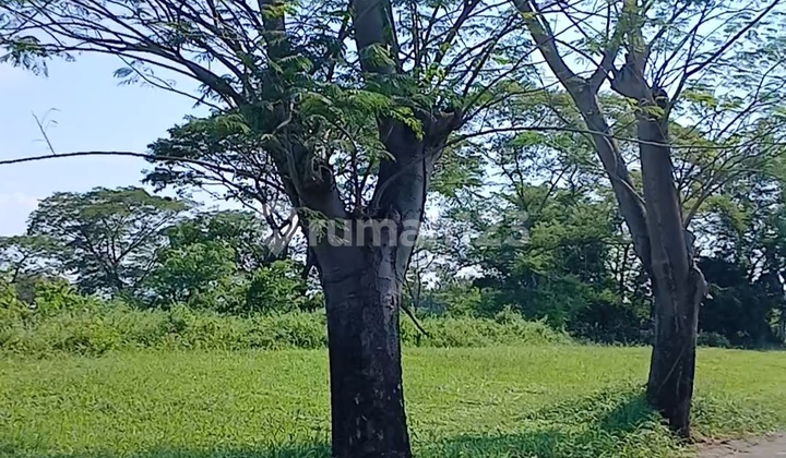 Jual Kavling Bukit Golf International Citraland Golf View Jual Kavling Bukit Golf International Citraland Golf View