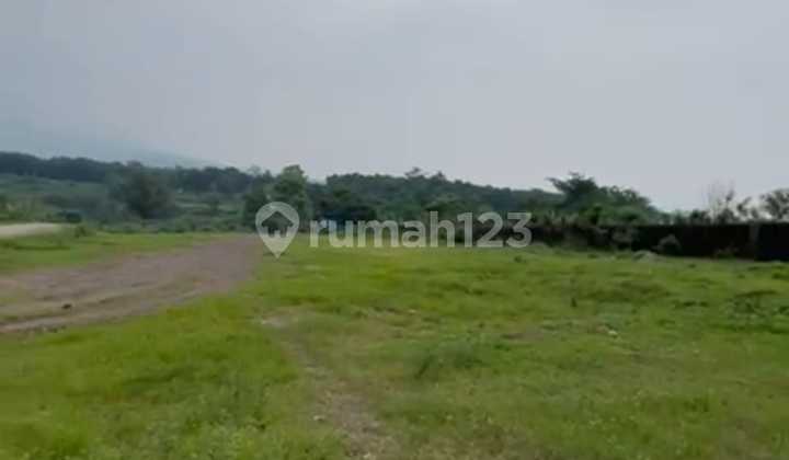 Dijual Tanah Siap Bangun Cocok Untuk Gudang, Pabrik Di Daerah Komersial Pasuruan Gempol Akses Jalan Tol Dijual Tanah Siap Bangun Cocok Untuk Gudang, Pabrik Di Daerah Komersial Pasuruan Gempol Akses Jalan Tol