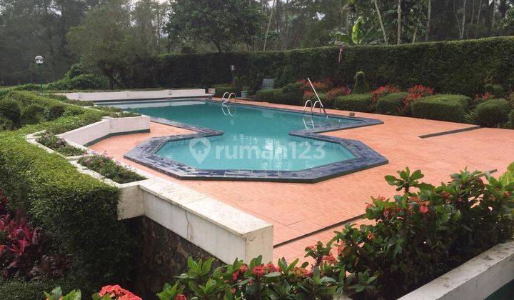 Villa di Cisarua Bagus Dekat Taman Safari Bogor 2