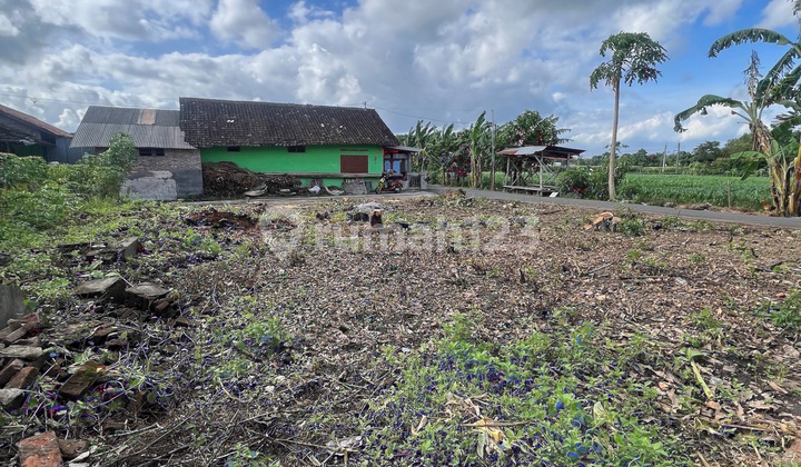 Soft Launching Ayana Estetika Rumah Mewah Harga Murah Cuma 150Jt 2