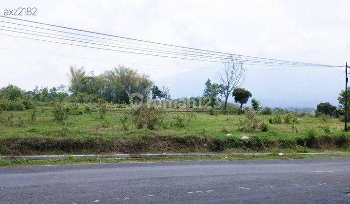 JUAL TANAH NOL JALAN RAYA PANEKAN, MAGETAN 1