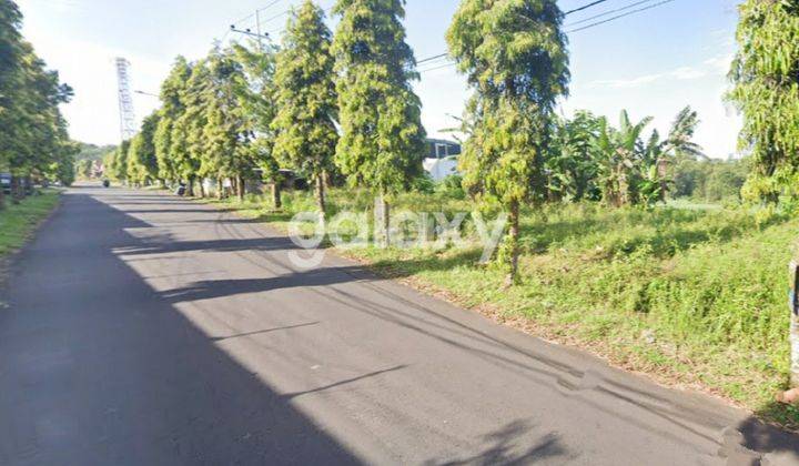 JUAL TANAH NOL JALAN SINGOSARI, MALANG 1