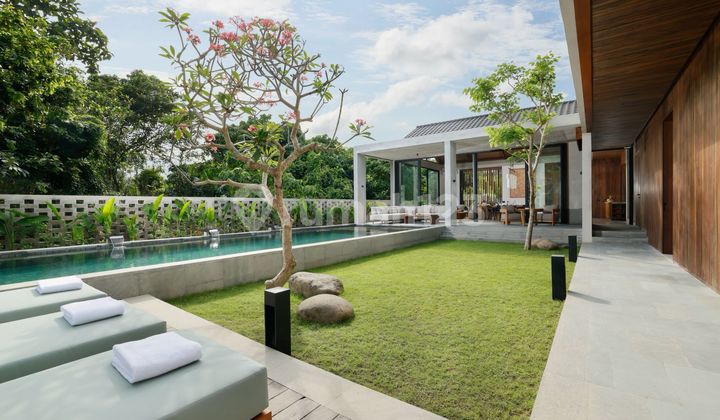 Brand New Luxury Villa Central Canggu Freehold 