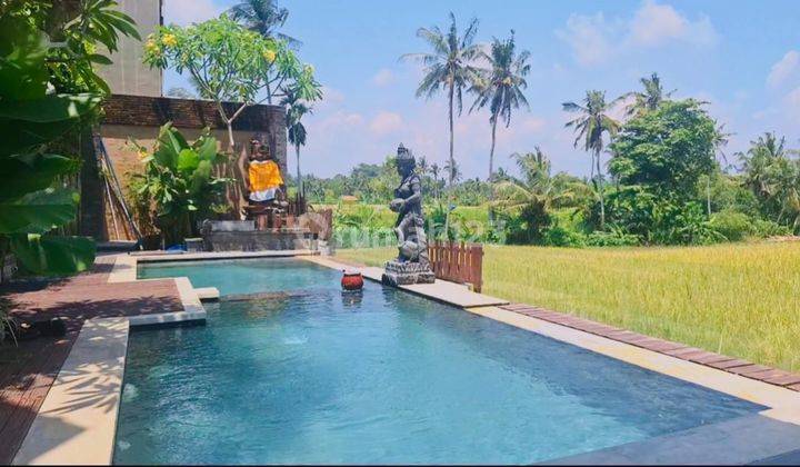 Rice Field View Villa Ubud Bali 2br Shm Investasi Bagus 2