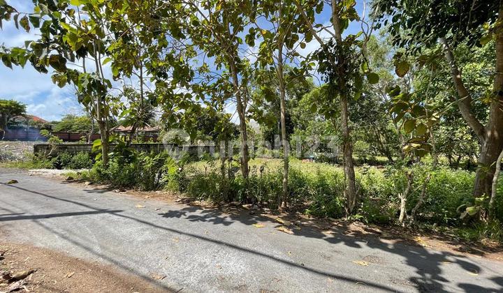 Tanah Luas 1.325 Hektar Di Nyang Nyang Uluwatu Tanah Luas 1.325 Hektar Di Nyang Nyang Uluwatu