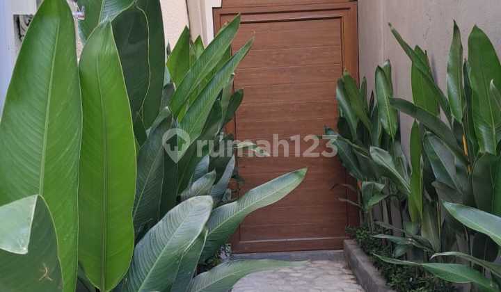 Villa Seminyak Walking Distance To Petitenget Beach Bali