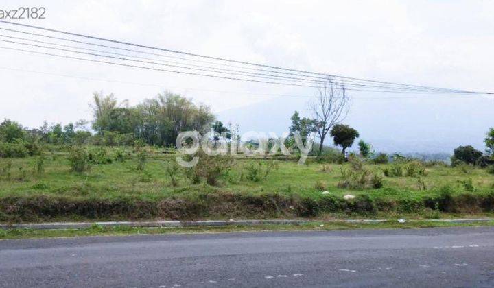 JUAL TANAH NOL JALAN RAYA PANEKAN MAGETAN 1